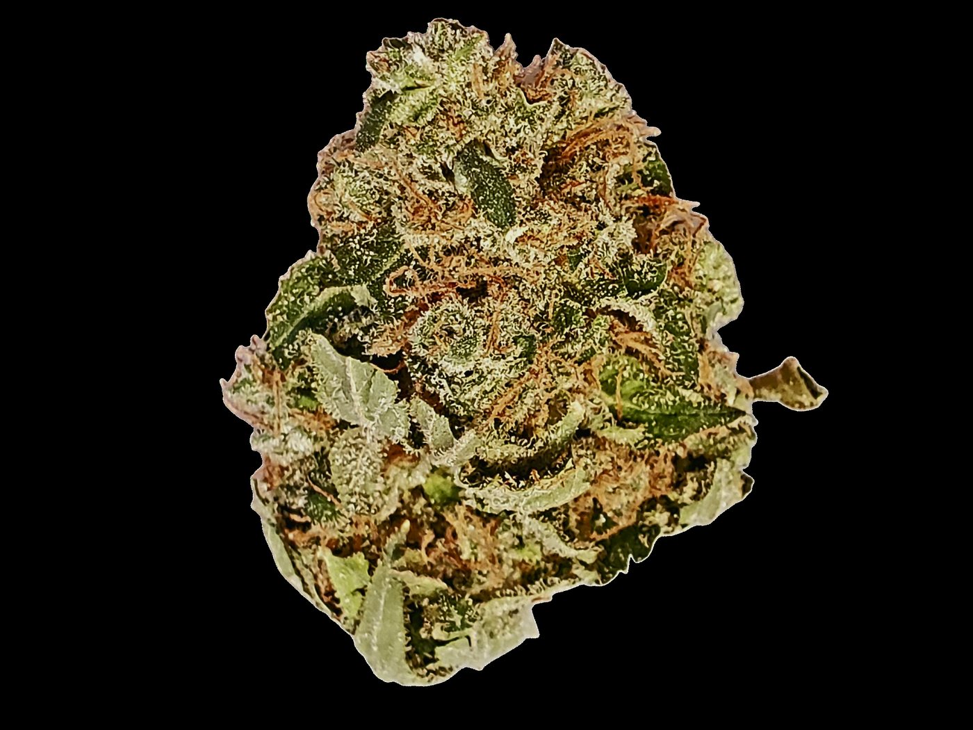 Black Alley Craft Cannabis Lemon Larry OG flower, 14G, 3.5g, sold by Bud Buggy