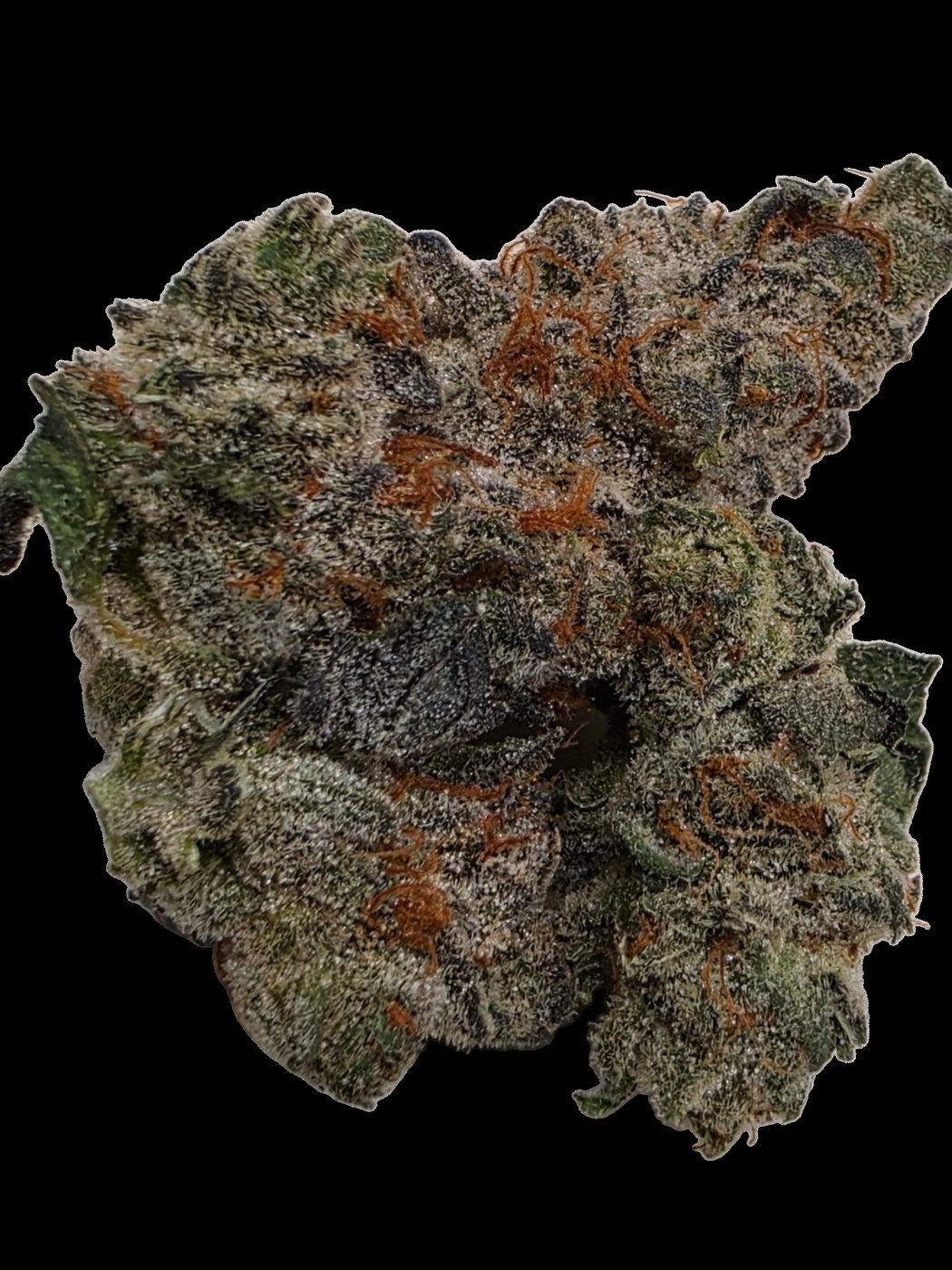 Consciously Cultivated Cannabis MAC flower, 14G, sold by Bud Buggy