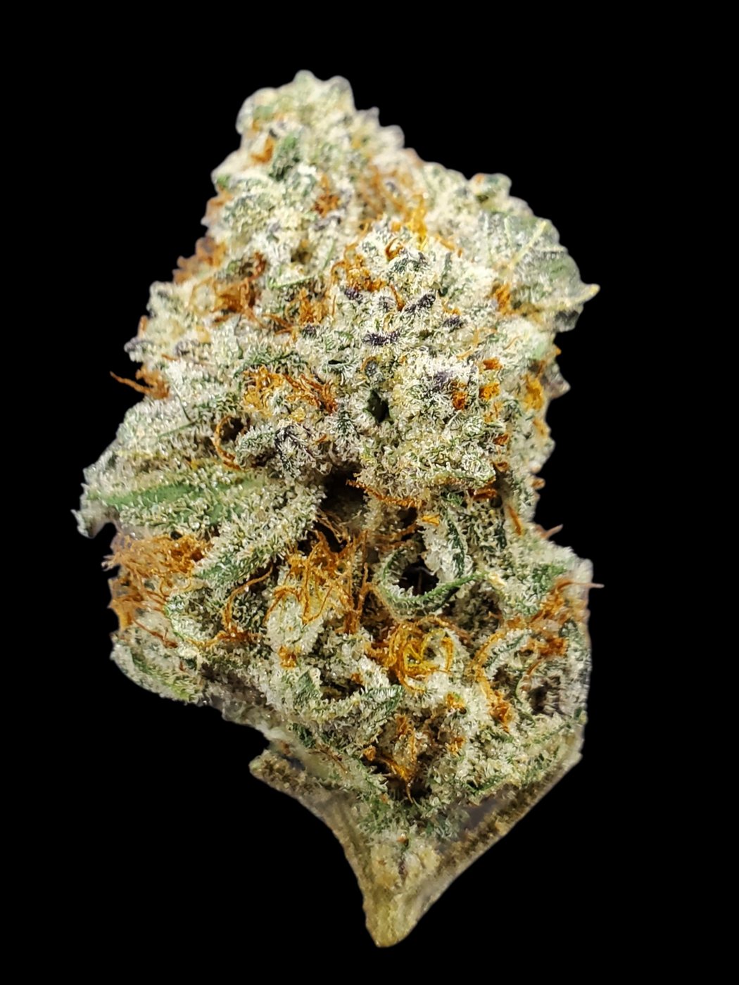 Jungle Boys Beach Cake flower, 3.5 g, sold by Bud Buggy
