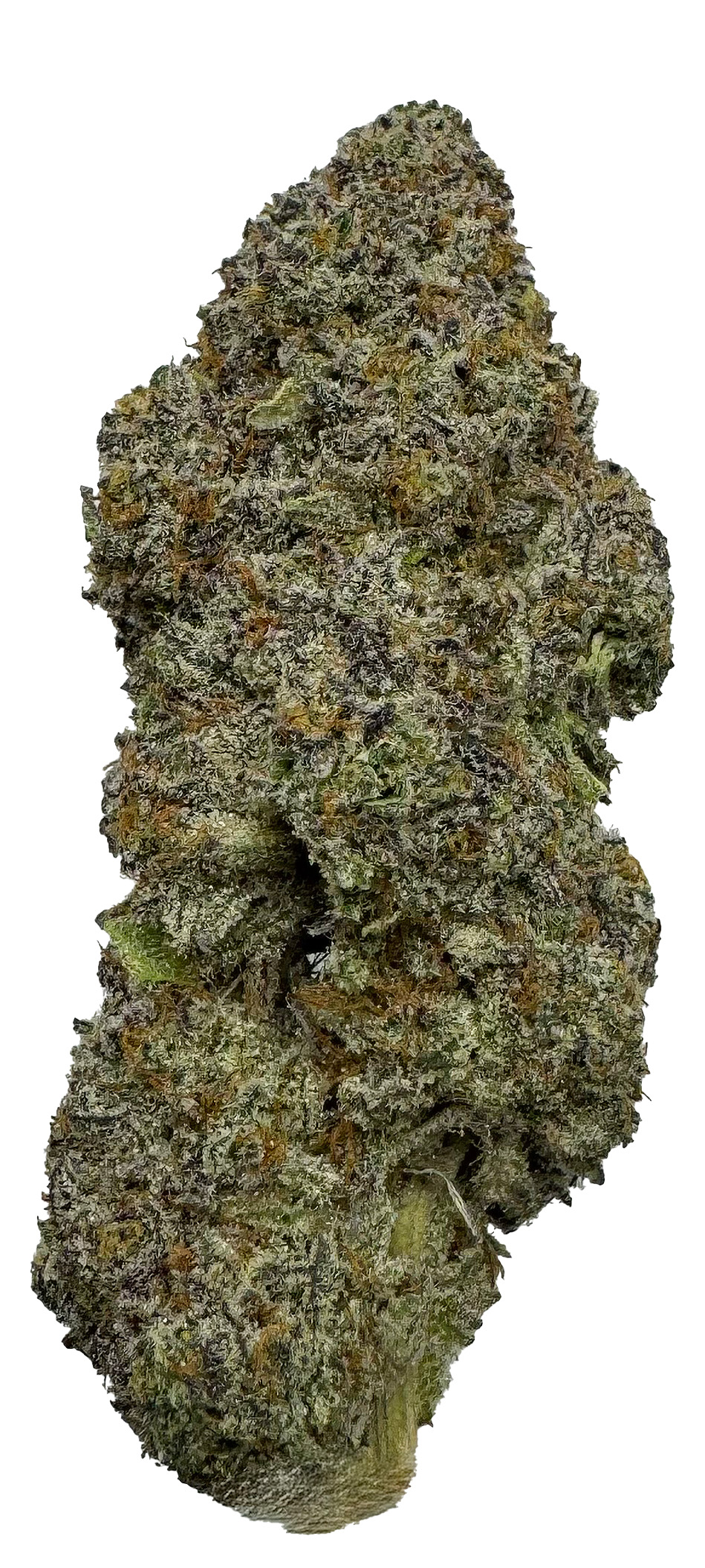 Blueberry Cupcake Strain