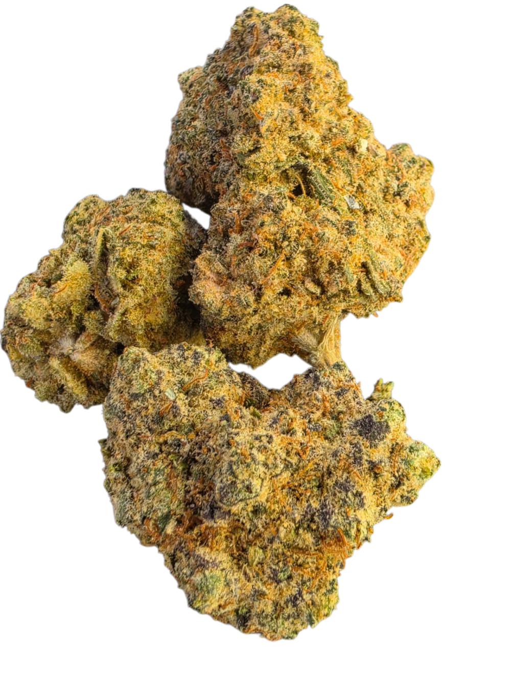 Cough Gas Strain