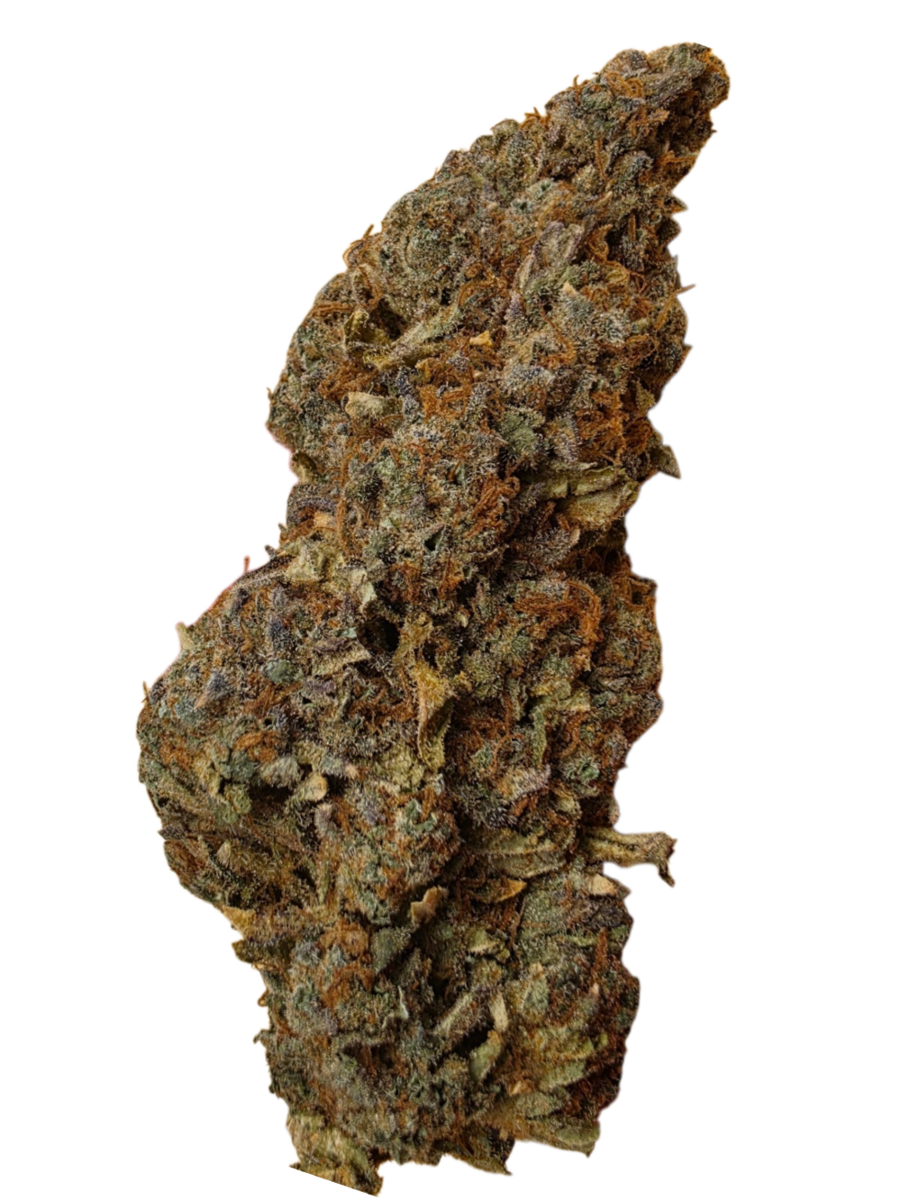 Divine Lemon Strain