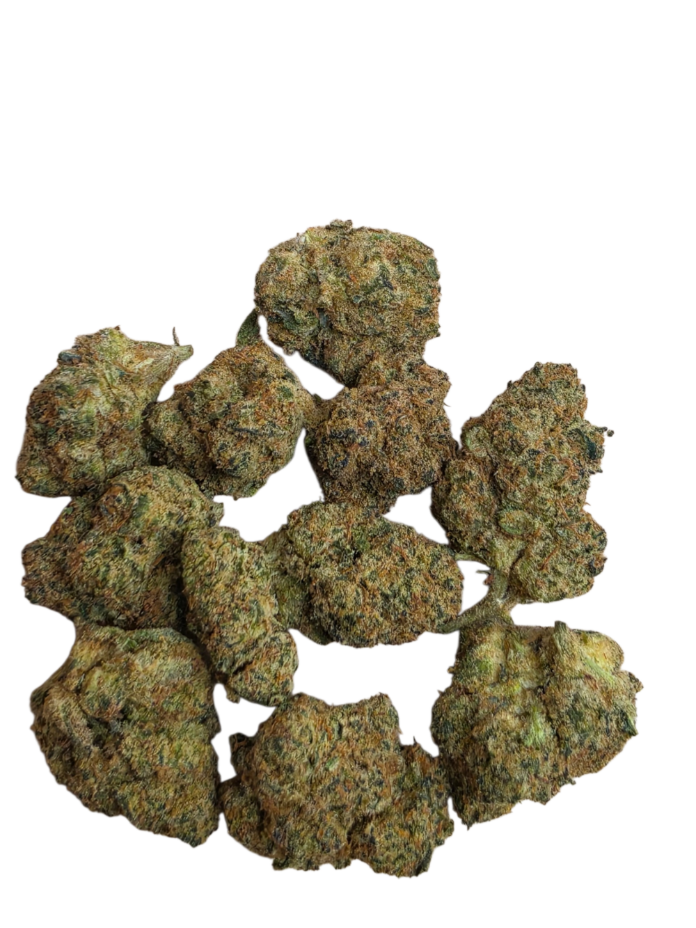 Guava Splash Strain