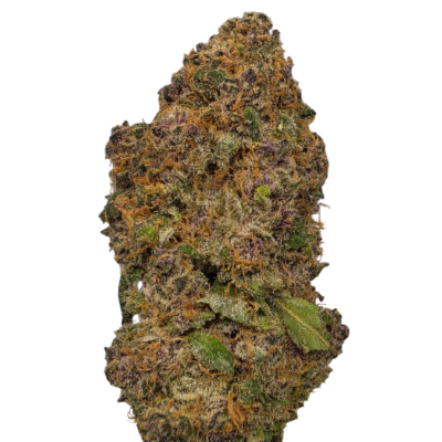 Purple Haze Strain - 28g
