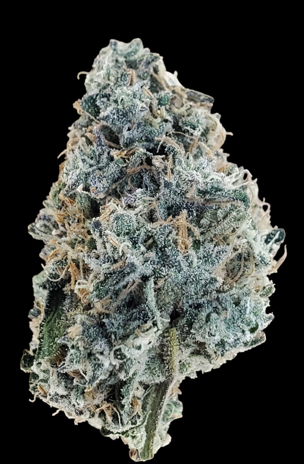 Sour Bubba Strain