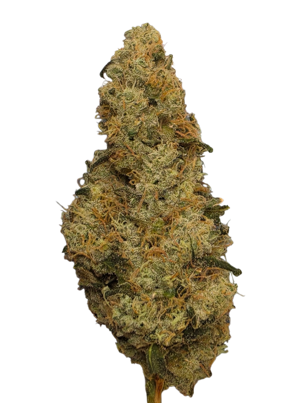 Stink Pie Kush Strain – 28g