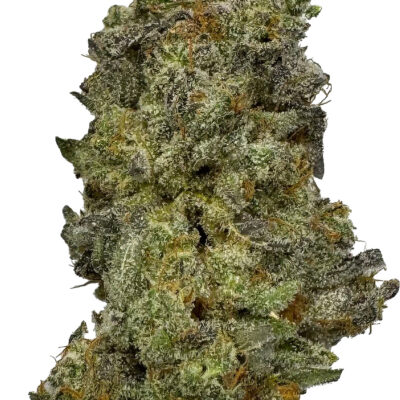 Tangie Cookie Burger Strain